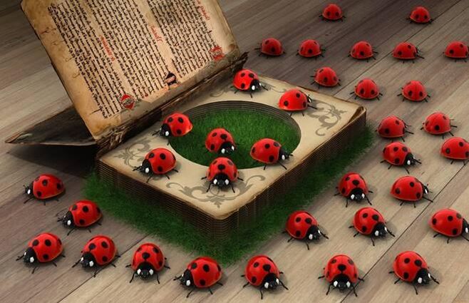 Ladybug - สัญลักษณ์ของความช่วยเหลือจากสวรรค์, การป้องกัน