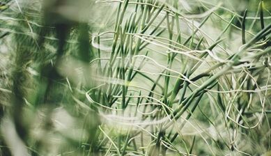 วิธีทำเครื่องรางนำโชคด้วยมือของคุณเอง